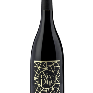 AOP SAINT-JOSEPH  –  L'Exceptio